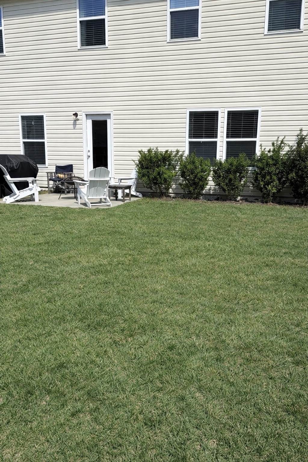 After lawn thickening treatment