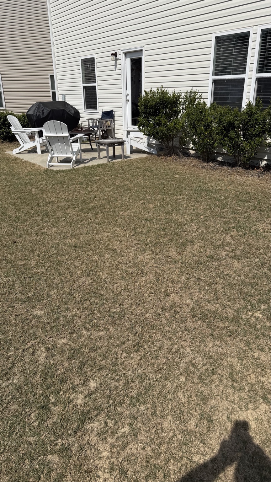 Before lawn thickening treatment